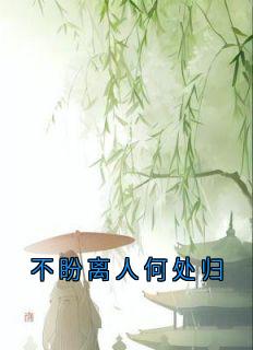 不盼离人何处归