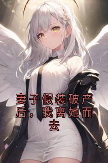 妻子假装破产后，我离她而去
