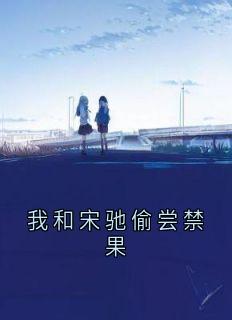 我和宋驰偷尝禁果