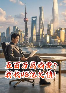 五百万离婚费？我收48亿欠债！